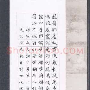 刘心悦(少儿组 10岁 金奖)硬笔书法大赛 获奖作品图片欣赏