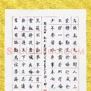 吴云杰(成人组)硬笔书法大赛 入围作品选登图片欣赏