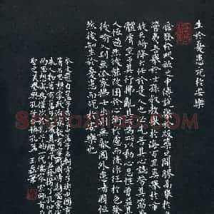 王磊(成人组)硬笔书法大赛 入围作品选登图片欣赏