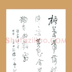梁能伟 硬笔草书作品《胡寅诗一首》图片欣赏