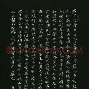 周游(成人组)硬笔书法大赛 入围作品选登图片欣赏