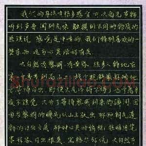 潘欣然(少儿组 11岁 金奖)硬笔书法大赛 获奖作品图片欣赏
