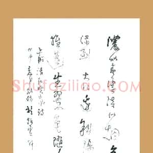 梁能伟 硬笔草书作品《纪晓岚诗》图片欣赏
