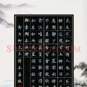 衣嘉媛(少儿组 11岁 金奖)硬笔书法大赛 获奖作品图片欣赏