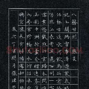 张玮莹(少儿组 10岁 特等奖)硬笔书法大赛 获奖作品图片欣赏