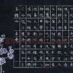 张玮莹(少儿组 11岁 金奖)硬笔书法大赛 获奖作品图片欣赏