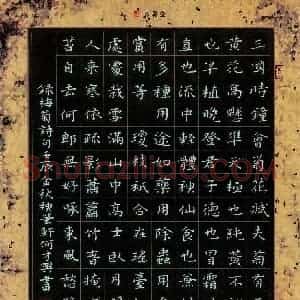何才兴 硬笔楷书作品《录梅菊诗句》图片欣赏