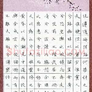刘雅霖(少儿组 11岁 金奖)硬笔书法大赛 获奖作品图片欣赏