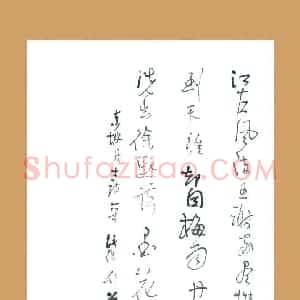 梁能伟 硬笔草书作品《苏轼诗一首》图片欣赏