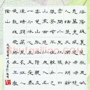 王宣婷(少儿组 11岁 金奖)硬笔书法大赛 获奖作品图片欣赏