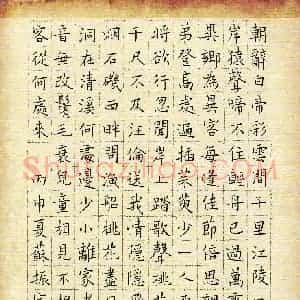 苏振宇(成人组)硬笔书法大赛 入围作品选登图片欣赏