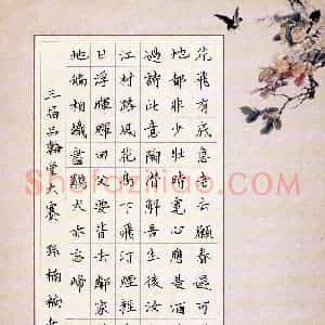 孙楠楠(成人组)硬笔书法大赛 入围作品选登图片欣赏