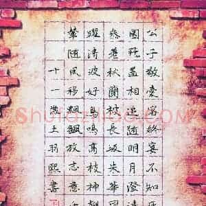 王羽熙(少儿组 11岁 金奖)硬笔书法大赛 获奖作品图片欣赏