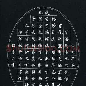 顾彦力(成人组)硬笔书法大赛 入围作品选登图片欣赏