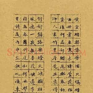 徐东杰(成人组)硬笔书法大赛 入围作品选登图片欣赏