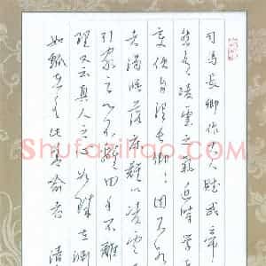 陈清云 硬笔行草作品《东坡书跋》图片欣赏