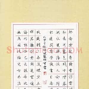 胡健雅(成人组)硬笔书法大赛 入围作品选登图片欣赏
