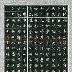 郝天明(成人组)硬笔书法大赛 入围作品选登图片欣赏