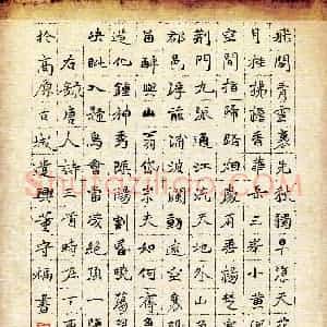 董守福(少儿组 11岁 特等奖)硬笔书法大赛 获奖作品图片欣赏