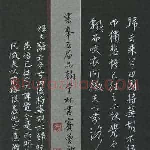 曾新童(少儿组 14岁 金奖)硬笔书法大赛 获奖作品图片欣赏