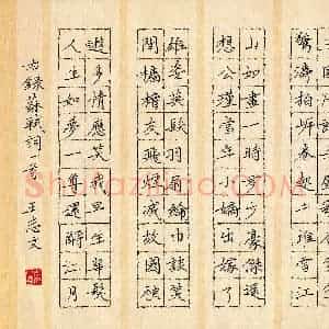 王志文 硬笔楷书作品《苏轼词一首》图片欣赏