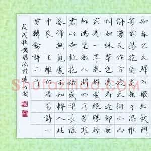黄瑀涵(少儿组 14岁 金奖)硬笔书法大赛 获奖作品图片欣赏