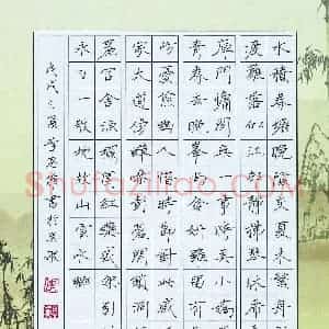 李思菲(少儿组 14岁 金奖)硬笔书法大赛 获奖作品图片欣赏