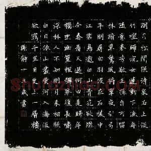 谢静(少儿组 14岁 金奖)硬笔书法大赛 获奖作品图片欣赏