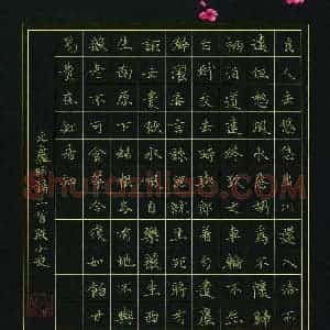 段小迪(少儿组 14岁 金奖)硬笔书法大赛 获奖作品图片欣赏