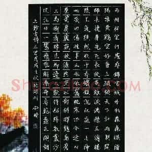 舒晴(少儿组 14岁 金奖)硬笔书法大赛 获奖作品图片欣赏
