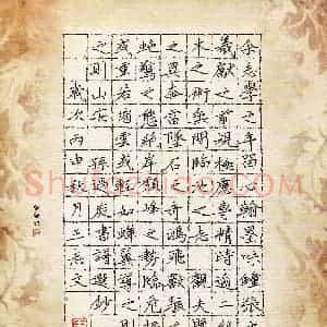 王志文 硬笔楷书作品《孙过庭书谱选抄》图片欣赏