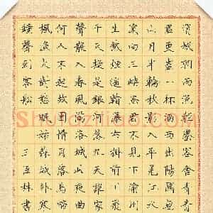 王臣林(成人组)硬笔书法大赛 入围作品选登图片欣赏