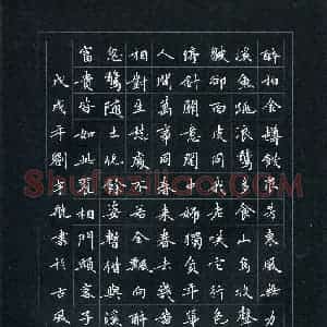 刘宇航(少儿组 15岁 金奖)硬笔书法大赛 获奖作品图片欣赏