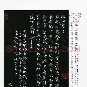 杨响(成人组)硬笔书法大赛 入围作品选登图片欣赏
