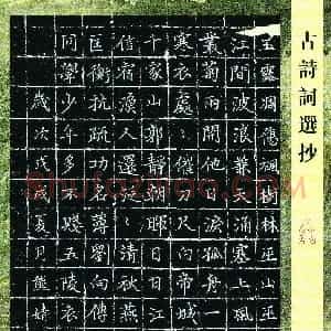 熊婧蓉(少儿组 15岁 金奖)硬笔书法大赛 获奖作品图片欣赏