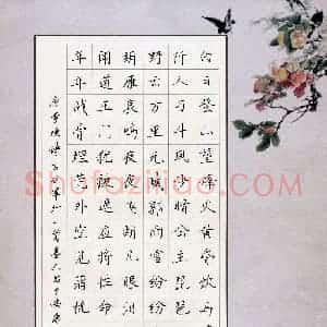 张鸿(成人组)硬笔书法大赛 入围作品选登图片欣赏