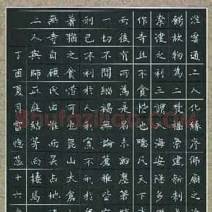 雷忆蕊(少儿组 16岁 金奖)硬笔书法大赛 获奖作品图片欣赏