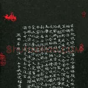 张建辉(成人组)硬笔书法大赛 入围作品选登图片欣赏