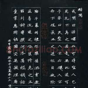 田保利(成人组)硬笔书法大赛 入围作品选登图片欣赏
