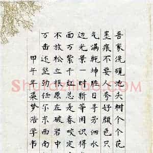 渠梦浩(少儿组 11岁 银奖)硬笔书法大赛 获奖作品图片欣赏