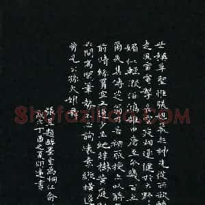 陈明远(少儿组 12岁 特等奖)硬笔书法大赛 获奖作品图片欣赏