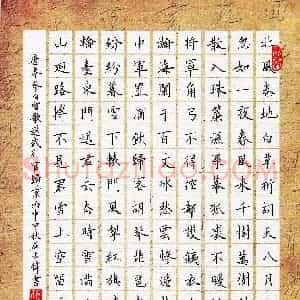 石占伟(成人组)硬笔书法大赛 入围作品选登图片欣赏