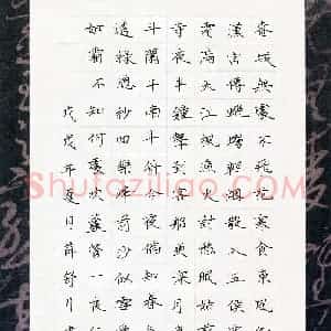 薛舒月(少儿组 12岁)硬笔书法大赛 入围作品选登图片欣赏