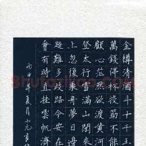 王小元(成人组)硬笔书法大赛 入围作品选登图片欣赏