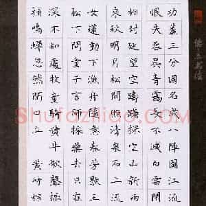 黄峙棕(少儿组 12岁)硬笔书法大赛 入围作品选登图片欣赏