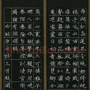 张开平(成人组)硬笔书法大赛 入围作品选登图片欣赏