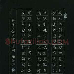 张莎莎(成人组)硬笔书法大赛 入围作品选登图片欣赏