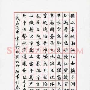 刘顶峰(成人组)硬笔书法大赛 入围作品选登图片欣赏