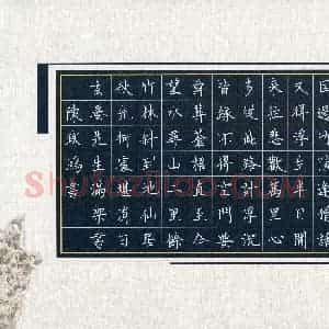 陈政鸿(成人组)硬笔书法大赛 入围作品选登图片欣赏