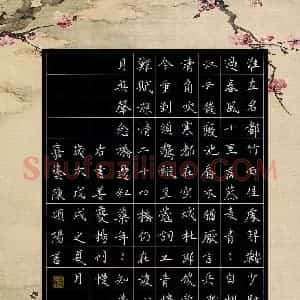 陈硕阳(少儿组 12岁)硬笔书法大赛 入围作品选登图片欣赏